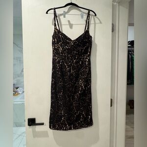 Bardot Satin and lace Dress